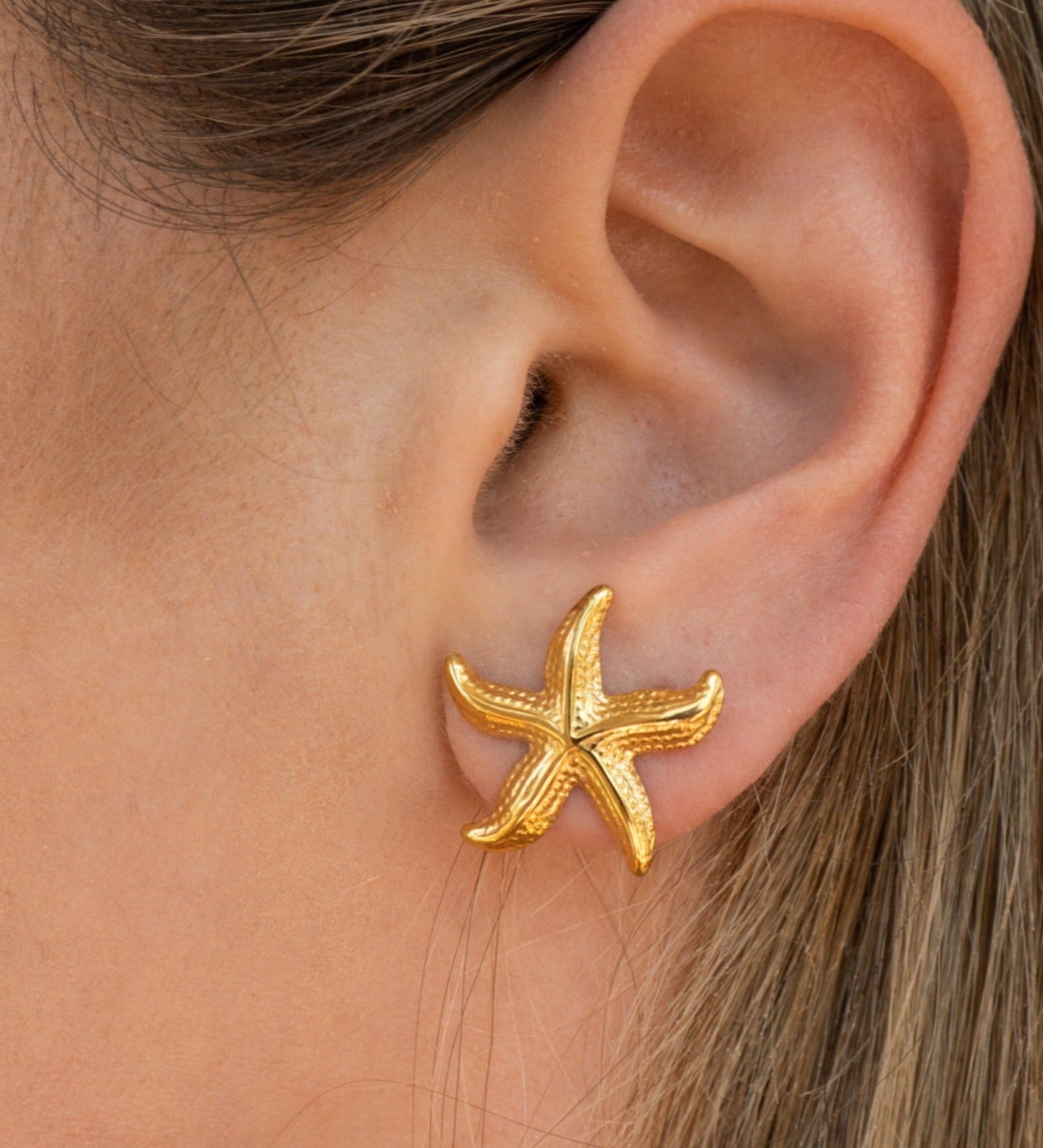 Starfish Earrings | Small